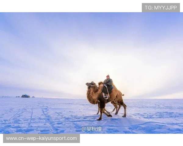 “沙漠来的队伍怎么在雪地这么猛?”全网热议塞内加尔 “沙漠来的队伍怎么在雪地这么猛?”全网热议塞内加尔
