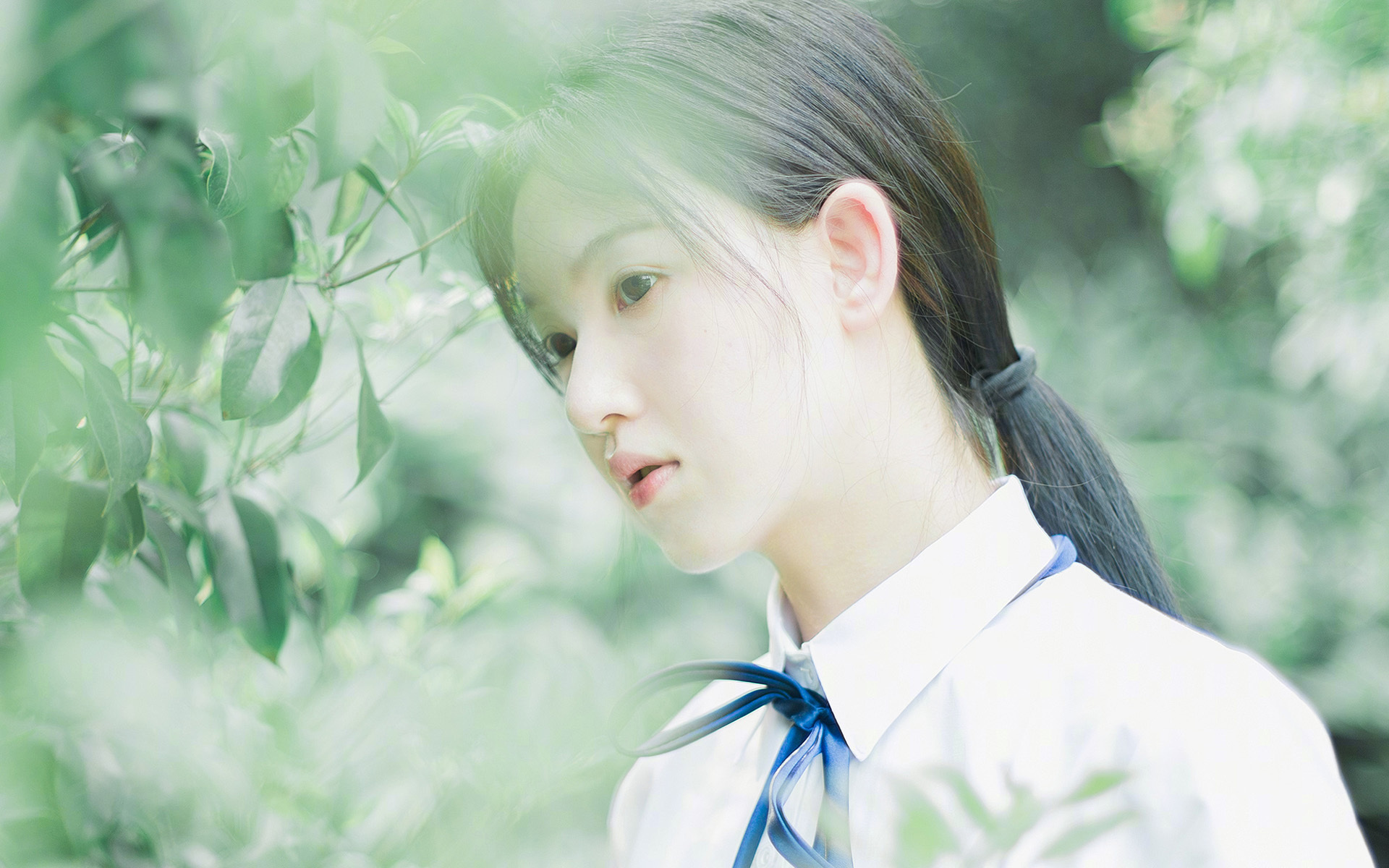 中国女篮打造外线投射新优势,中国女篮打造外线投射新优势有哪些