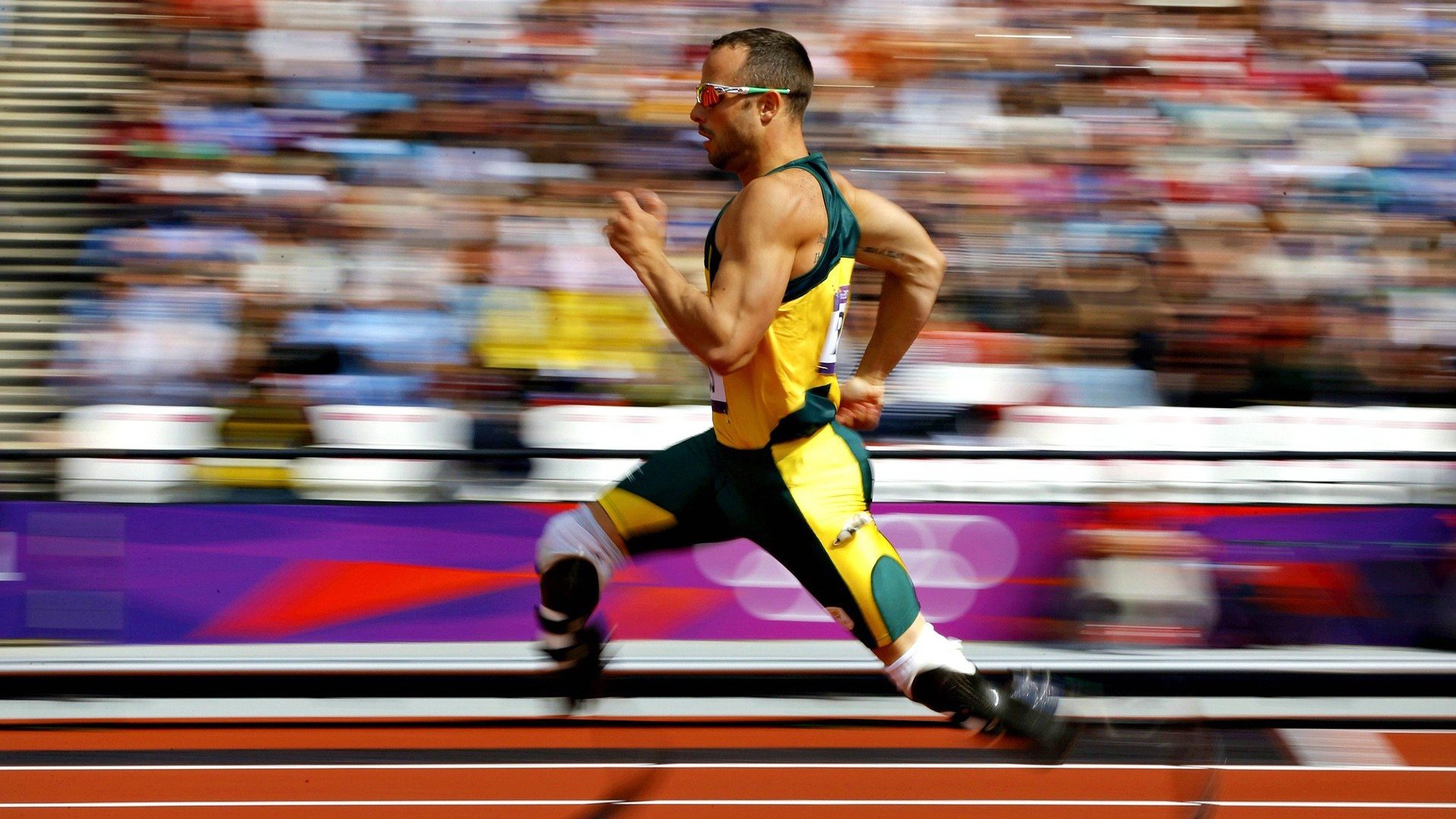 “马丁·高尔西：美洲狮队的防守大师，未来成就待续”